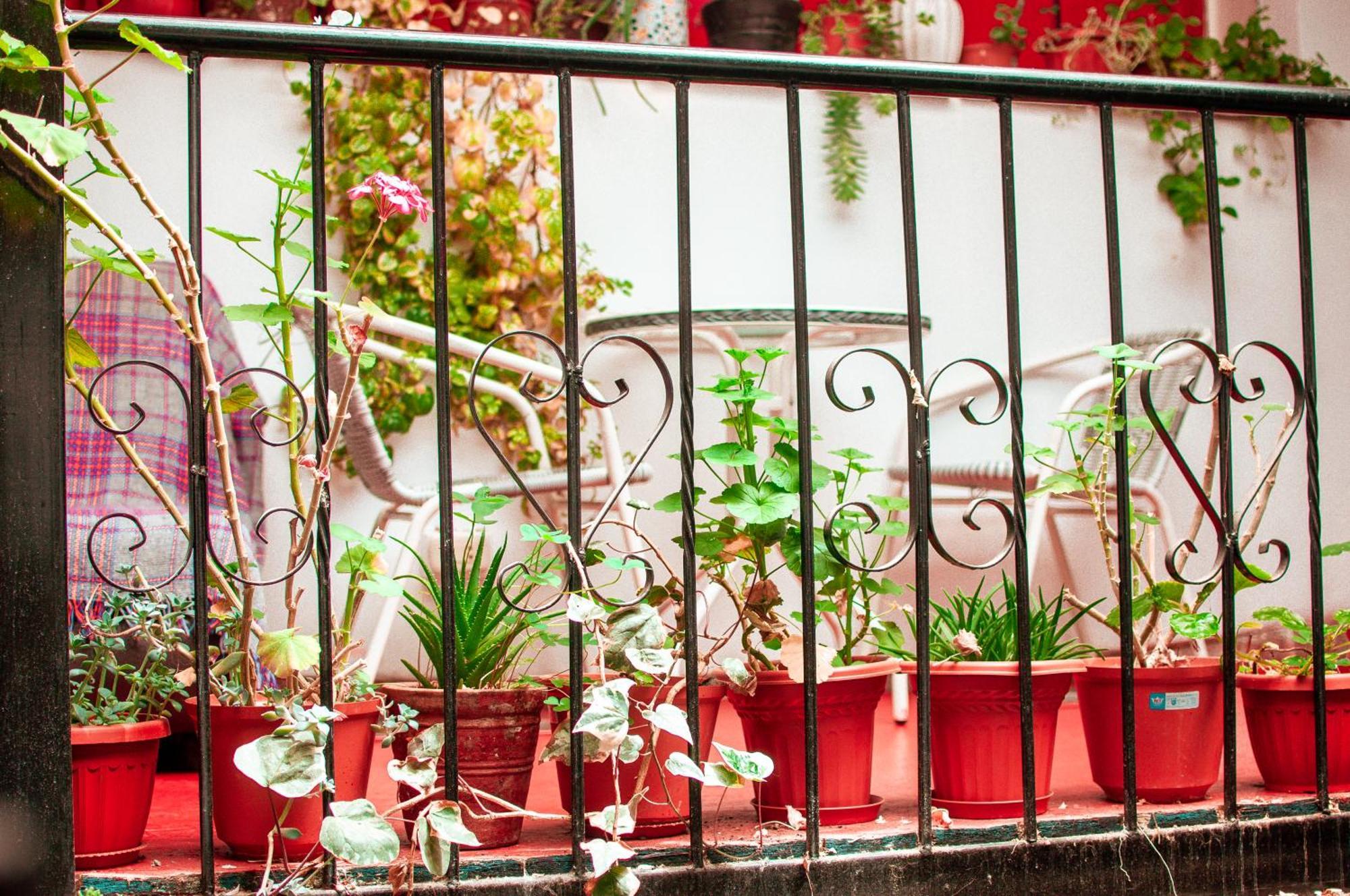 Hotel La Casa De Laura - Plaza Cuzco Exteriér fotografie